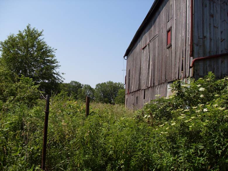 Shafer Barn Exterior
